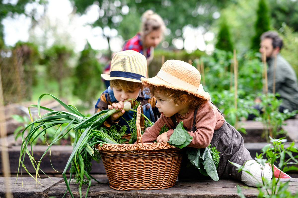 Raising Vegan Kids: A Comprehensive Guide to Nutrition and Well-Being