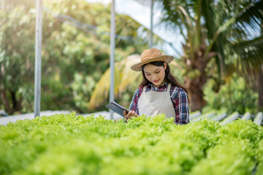 The Science-Backed Benefits of a Vegan Diet: What the Research Says